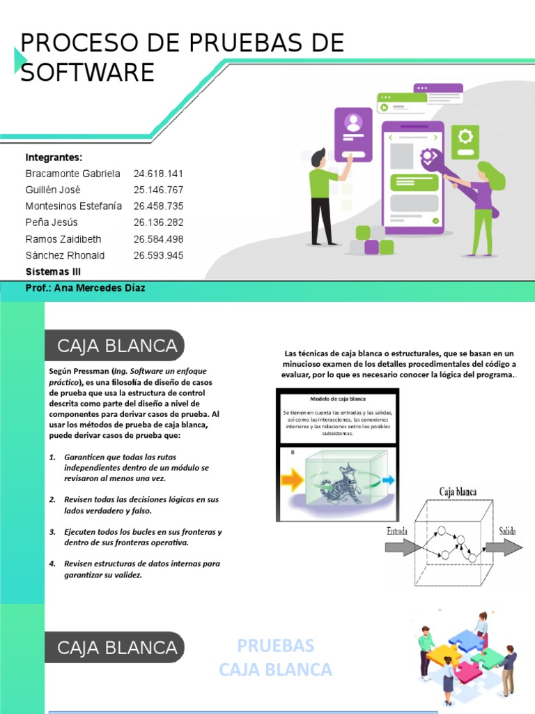 Caja Blanca | PDF | Software | Programa de computadora