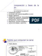 Clase 3 Carne 2 Composición y Fases de La Conversión PDF
