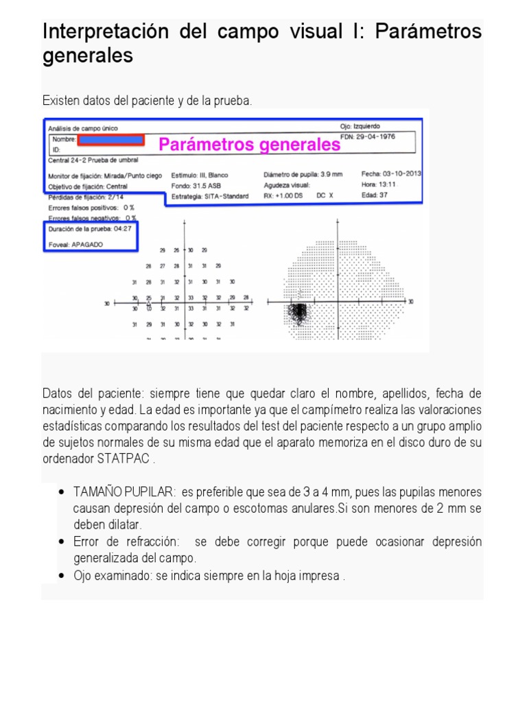 Interpretación del Campo Visual: Guía Práctica | PDF | Percepción ...