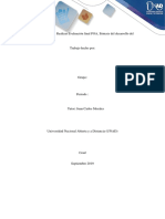 Evaluación final POA, Síntesis del desarrollo del Proyecto