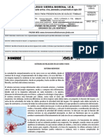 Guia Ciclo 5 Sistemas de Relacion. Sistema Nervioso