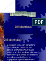 Difilobotriosis: Parásito intestinal causante de anemia