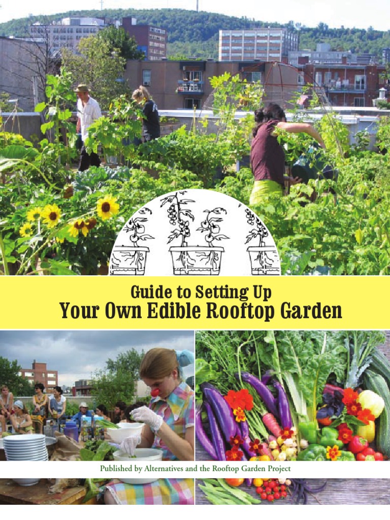 Guide To Setting Up Your Own Edible Rooftop Garden Manual | PDF | Urban ...