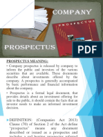 Company Prospectus and Securities Offering Details in 40 Characters