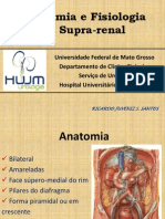 Tumores Da Adrenal - Anatomia e Fisiologia - Aula 3o Ano UFMT