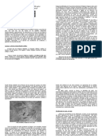 Decodificar El Arte PDF