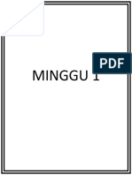 Minggu 1