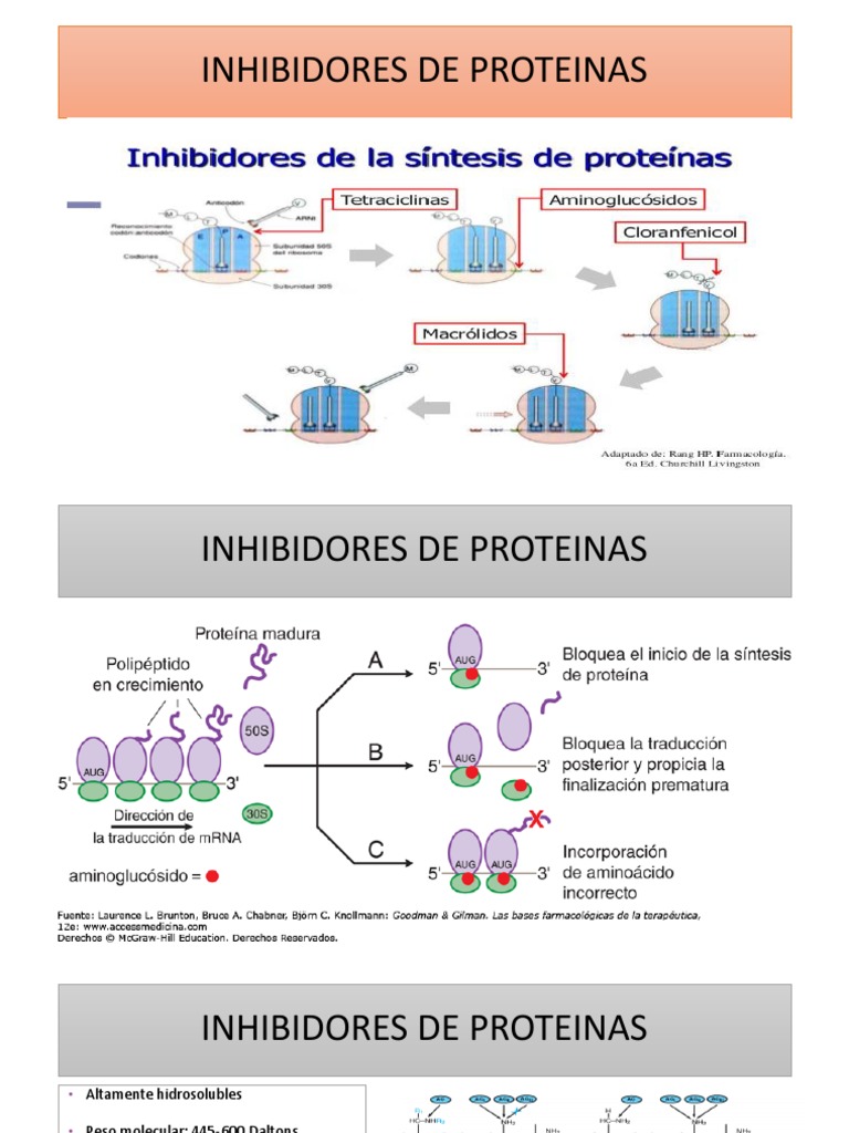 Inhibidores de Proteínas: Tipos y Usos | PDF | Ciencia y matemáticas
