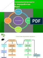 Pectin project presentation.ppt
