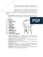 Trauma Abdominal