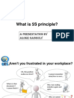 5S Principle PDF