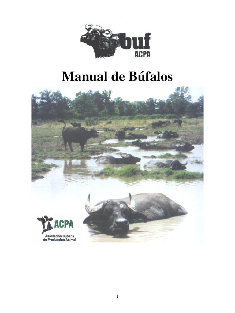 Manual de Bufalos PDF | PDF | Parto | Vacas