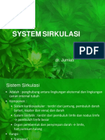 System CV