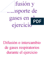 Difusión y Transporte de Gases en El Ejercicio MANERA BELEN