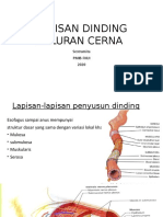 Dinding Saluran Cerna