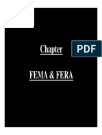 06) Fema & Fera