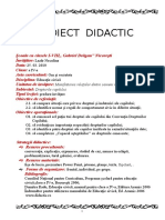 Proiect-Didactic