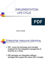 Erp Implementation