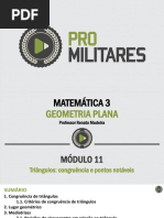 Triangulos - Congruencia e Pontos Notaveis