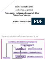 Respuestas y Adaptaciones en El Ejercicio Guido Siciliani