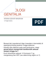 Embriologi Genitalia