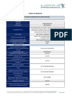 Category B Emirates Insurance PDF
