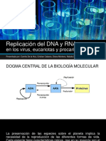 Replicación del DNA y RNA.pptx