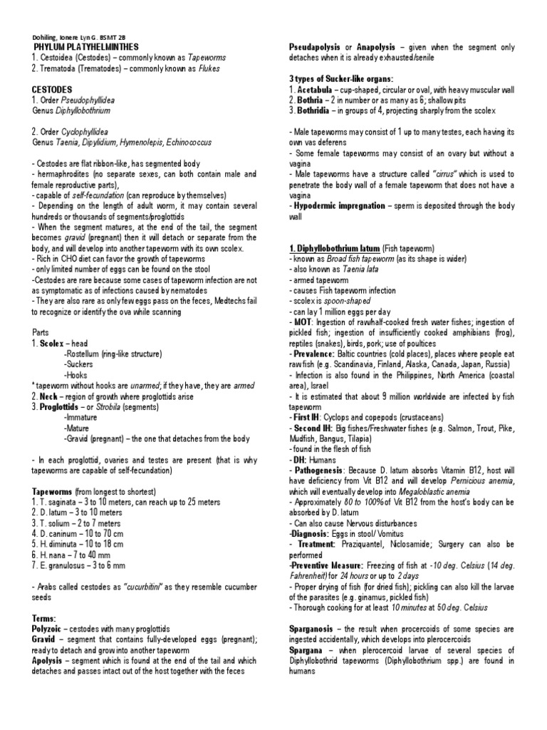 Analysis of Tapeworm Infections Characteristics, Transmission, and