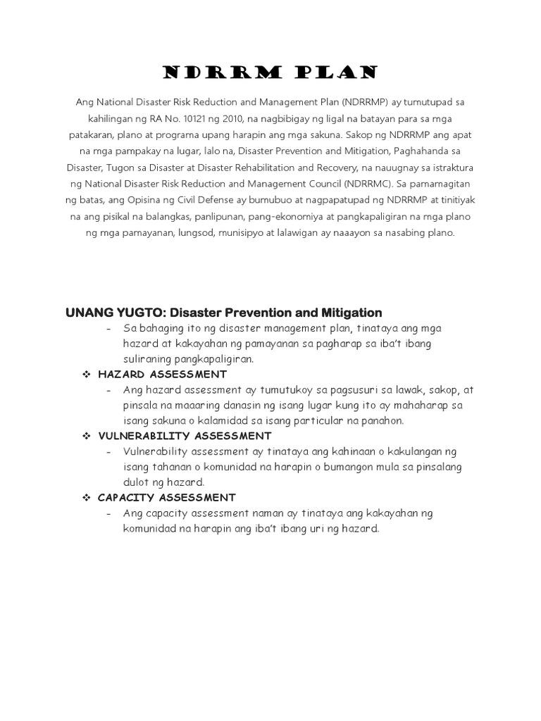 NDRRM Plan ARPA 10 | PDF