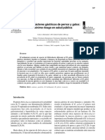 Dialnet-HelicobacteresGastricosDePerrosYGatosMinimoRiesgoE-3241314