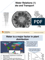 2 Le piante e l'acqua.pdf