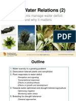 3 Le piante e l'acqua 2.pdf