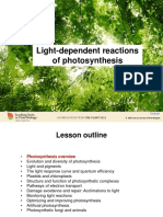 4 Fotosintesi.pdf