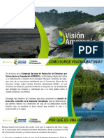 presentacion vision amazonia