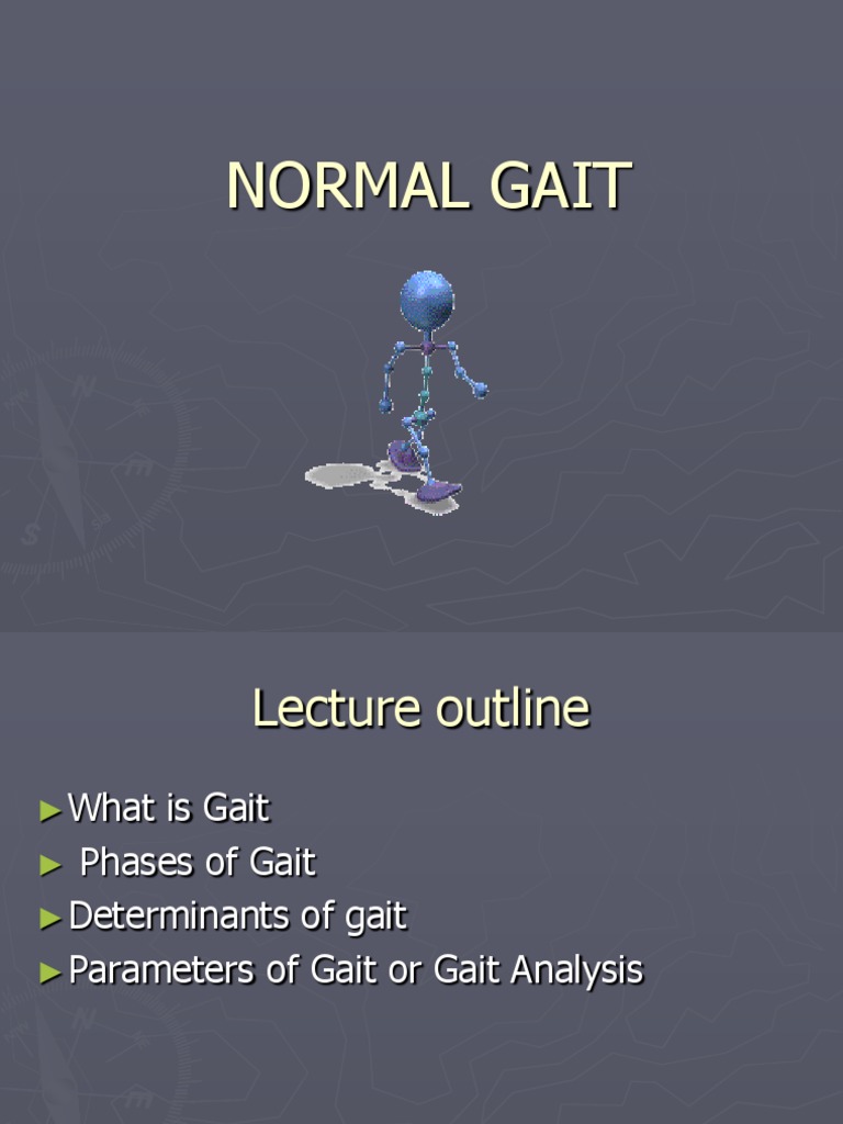 Understanding the Gait Cycle | PDF | Anatomical Terms Of Motion | Foot