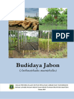 Penanaman Jabon PDF
