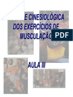 Análise Cinesiológica Dos Exercícios de Musculação - Aula III PDF