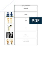 Biologi Gambar.docx