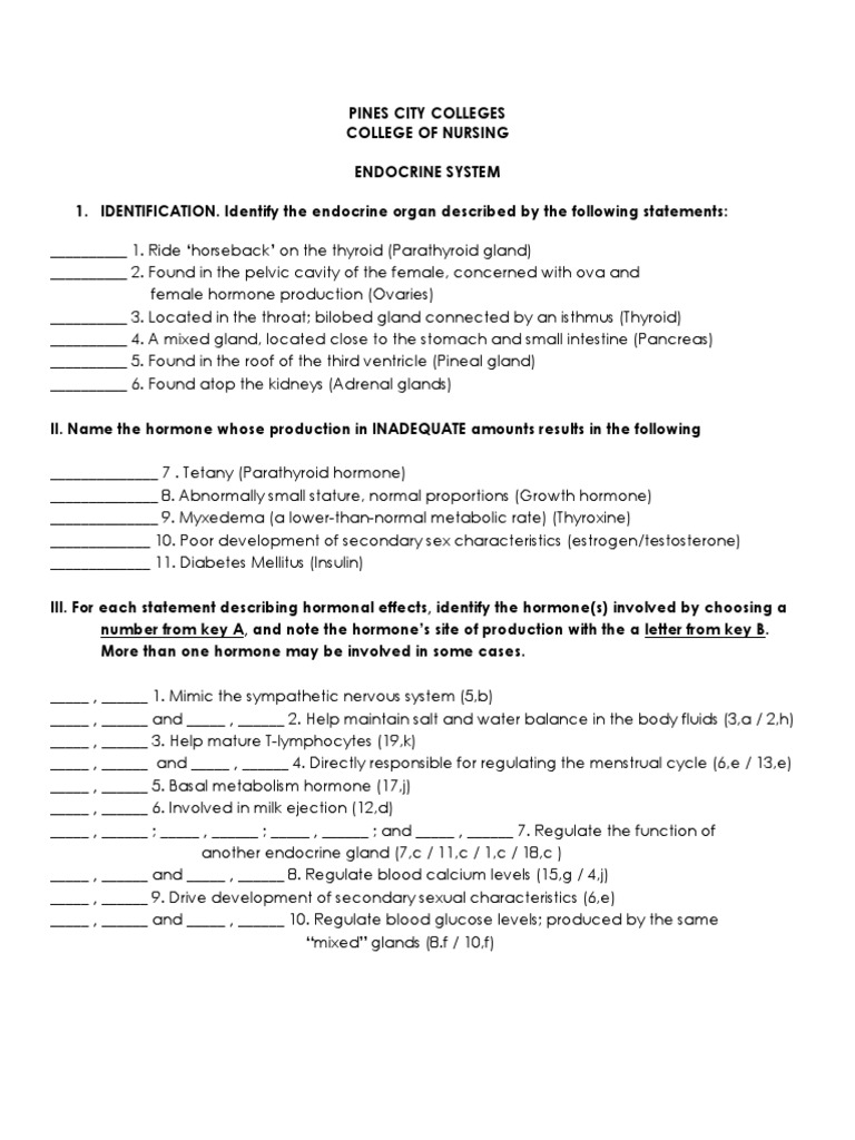 Endocrine System Exericises | PDF