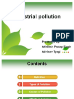 Effects of Pollution: An Overview