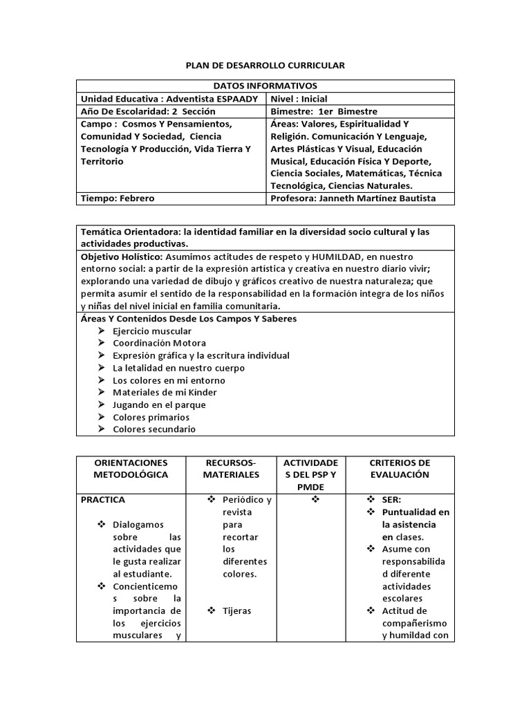 Plan de Desarrollo Curricular | PDF | Dibujo | Conceptos psicologicos
