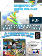 1_ À descoberta da molécula de DNA_estrutura e função.pdf