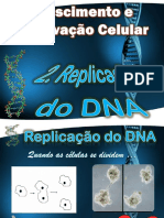 2 - Replicação Do DNA