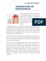 Microbiologia en Endodoncia