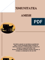 COMUNITATEA AMISH