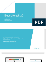 Electroforesis