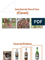 Cacao by Products