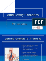 Phonetics - The Vocal Organs