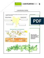 Actividad3 Plantas