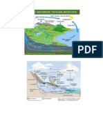 water n carbon cycle.docx